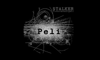 Stalker - tieteisroolipeli